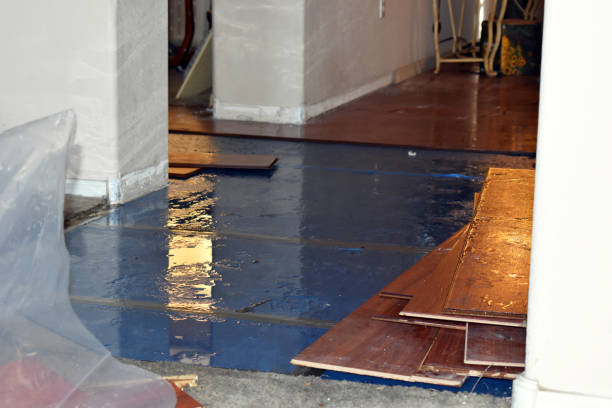 Professional Flood Damage Restoration technician working in Lee's Summit, MO